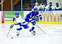 Local hockey stars