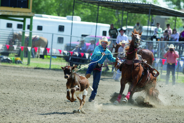Rodeo action