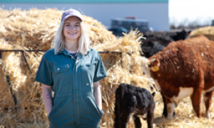 More seats for new veterinarians