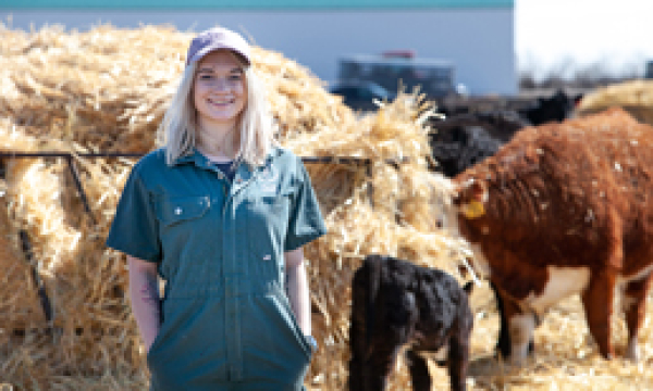 More seats for new veterinarians