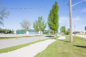 Bike Week activities promote cycling culture