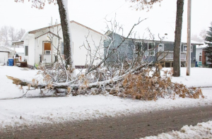 Winter hazard