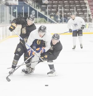 Kings prepare for season opener