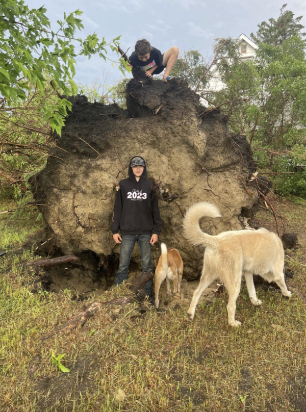 Storms cause damage throughout the area