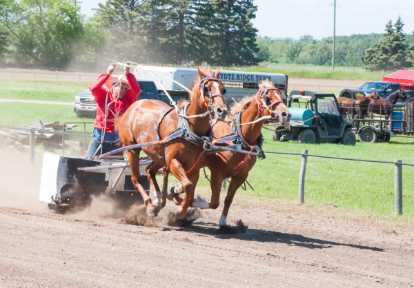 Final touches put on weekend rodeo plans