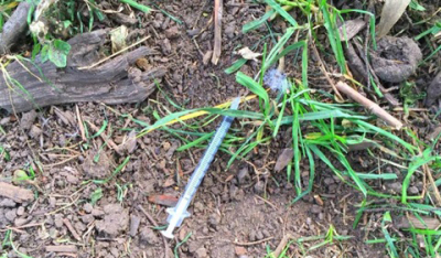 Taking the initiative to deal with discarded sharps