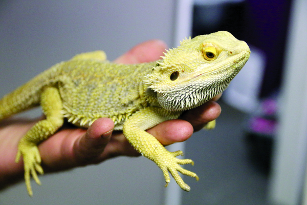 Bringing the exotic to the Swan River Valley