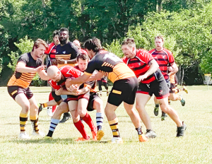 Mavericks are victorious in return to the pitch