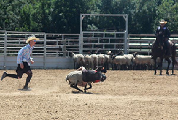Fair and rodeo a success