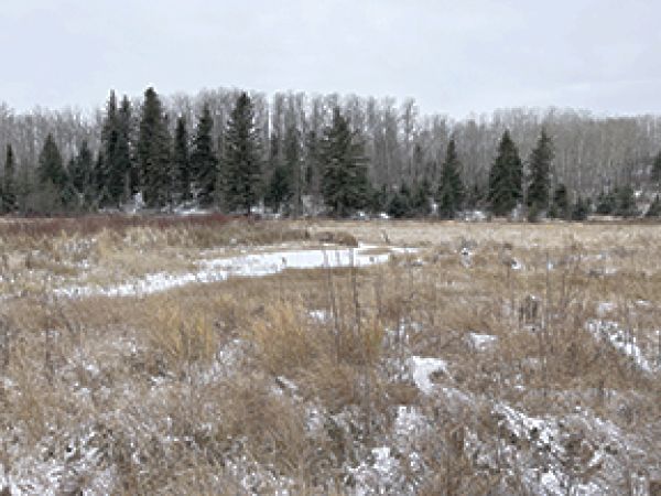 NCC fundraising to protect local area