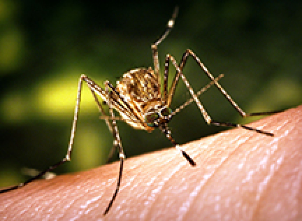 First case confirmed