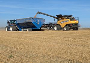 Legacy crop harvested