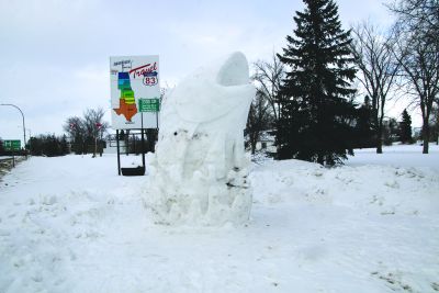 Something Fishy in Swan River