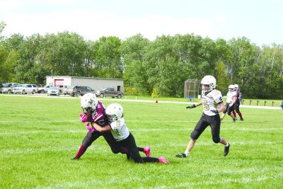 Swan Valley Bengals fall to Vipers at home