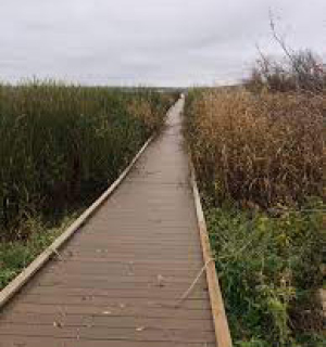 Opasquia trails planning session