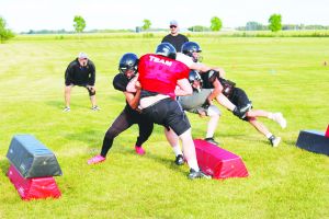 RMFL season delayed after Winnipeg team folded