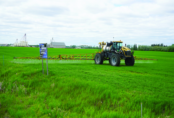 Raising Funds for the Stampeders