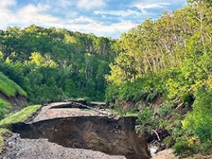 Storms leave damage in their wake