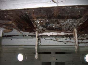 Skippy L story steeped in freight history