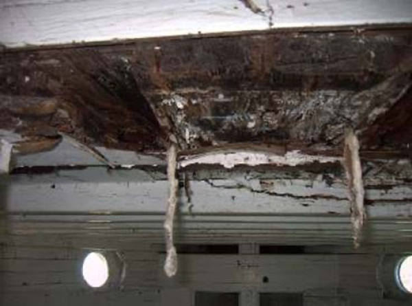 Skippy L story steeped in freight history