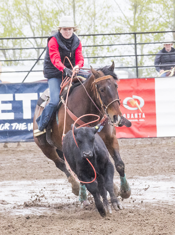 Ride 'em, cowgirl