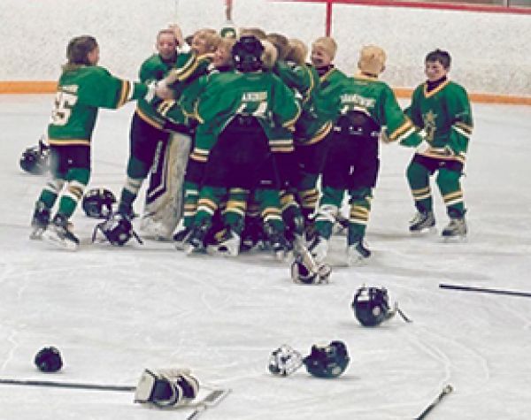 U11s win provincial C gold