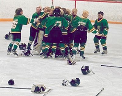 U11s win provincial C gold