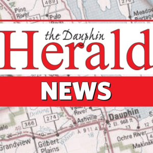 Council hears Public Works update