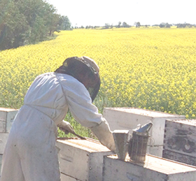 Teaming up for success