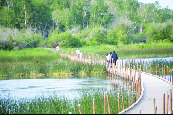 Opasquia Trails has soft opening for boardwalk