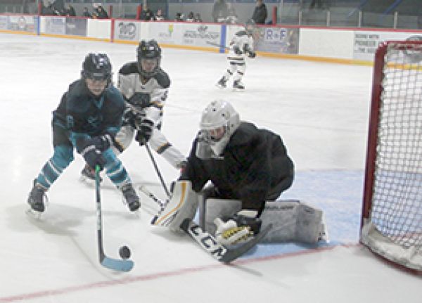 Hockey Day in Roblin