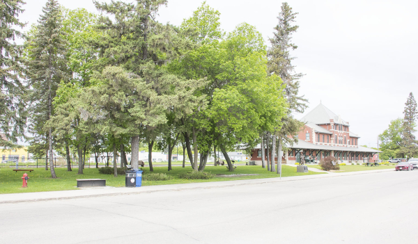 Summer Games committee planning a daily Party in the Park