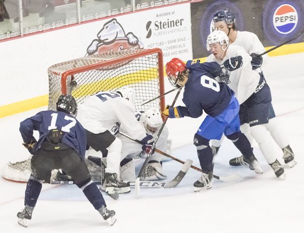 Youthful Kings begin working towards season opener