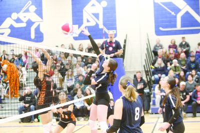 Home Court Advantage