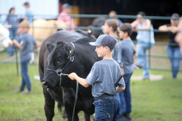 72nd Annual 4-H Show and Sale