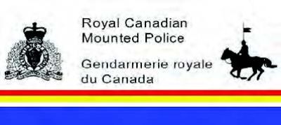 Police seize 246 firearms after call to assist EMS