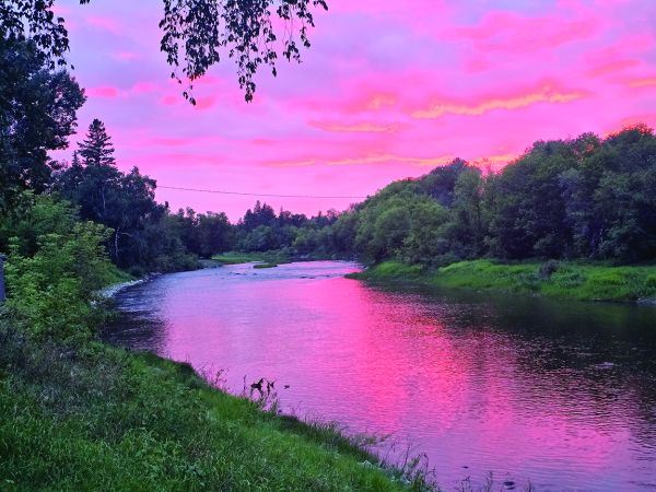 Led beside still waters